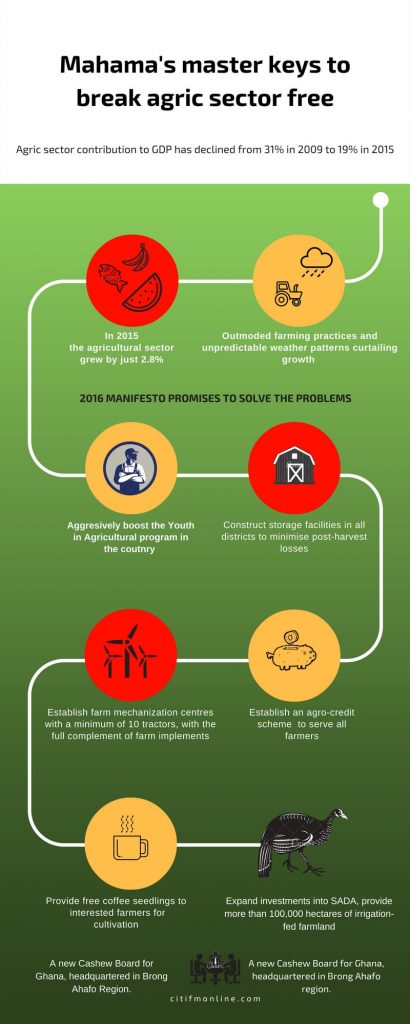 Timeline Infographic