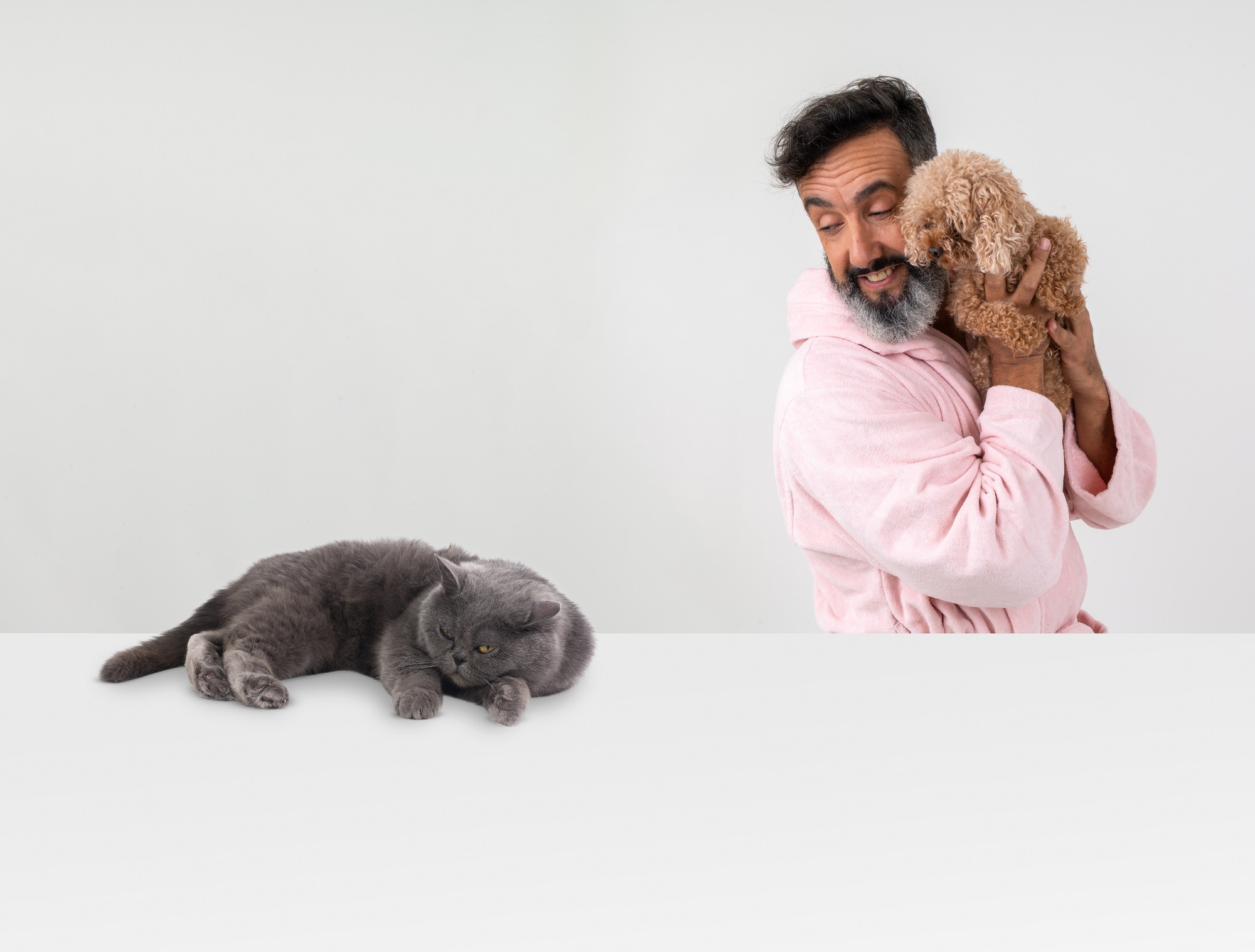 free stock photos with cats