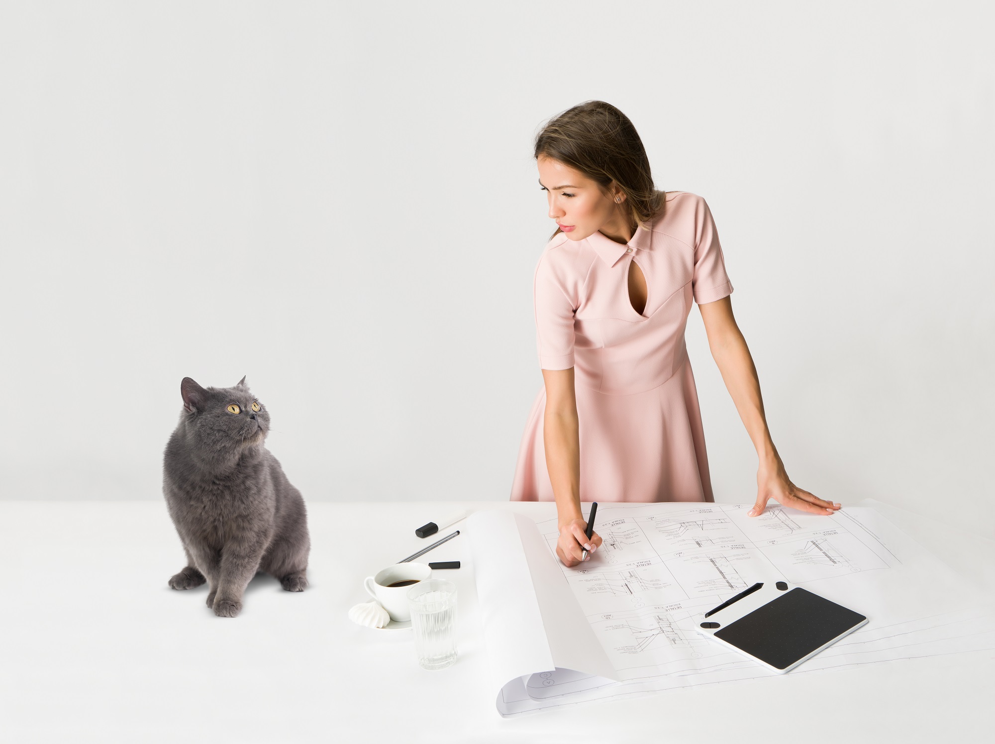 free stock photos with cats