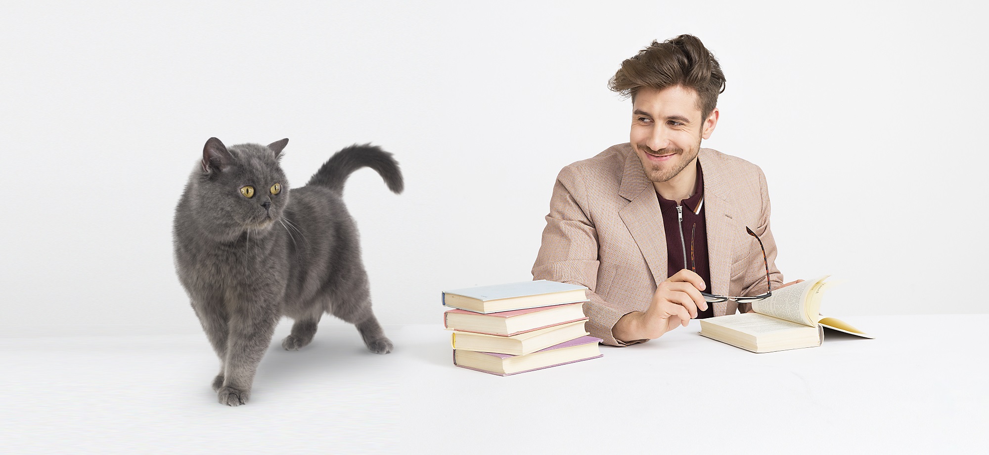 free stock photos with cats