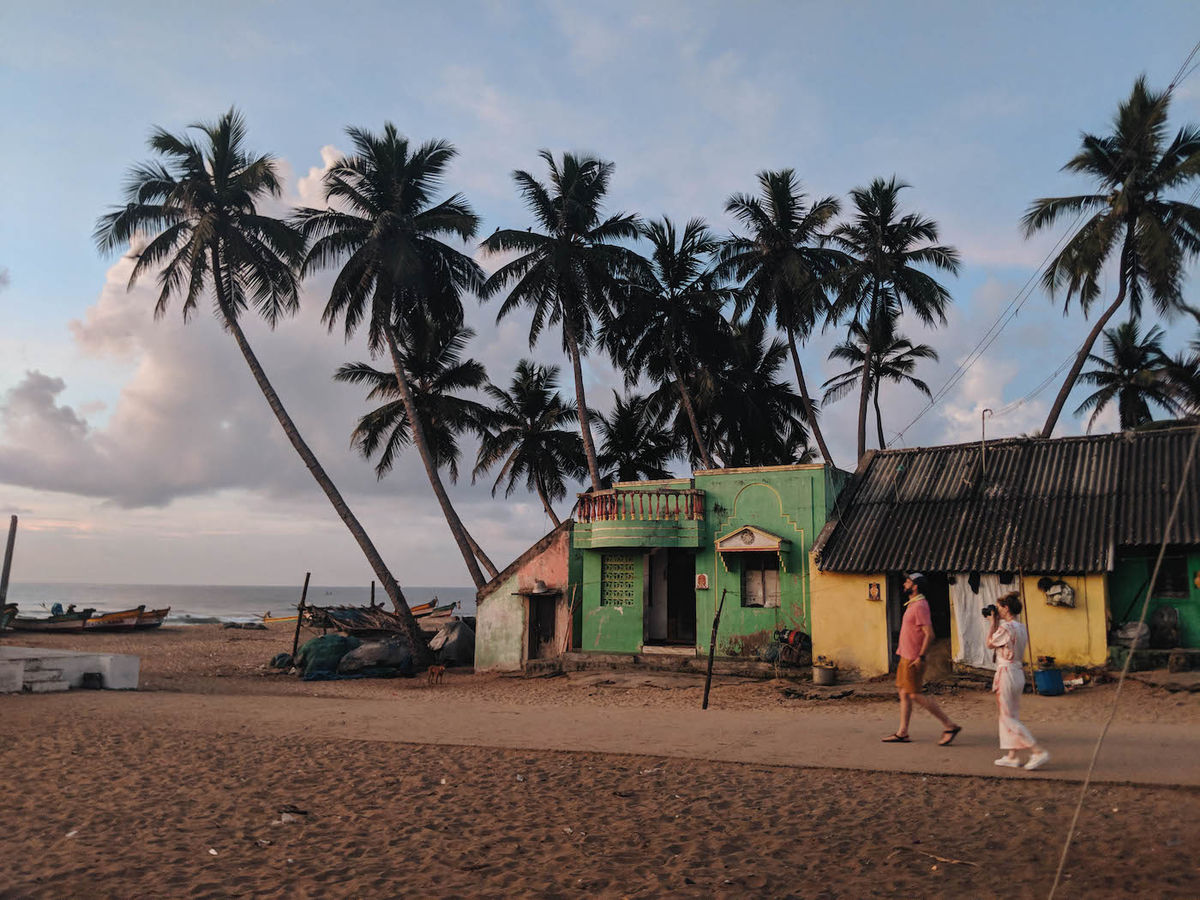 palm trees on a beach
