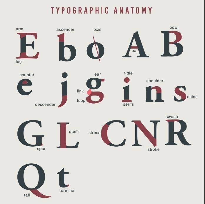 typography basics 